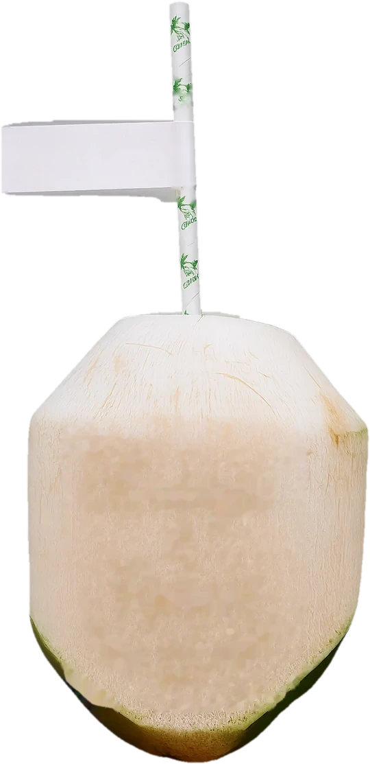 Fresh tender coconut ready for engraving